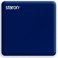 Mountain bluebird SM 075