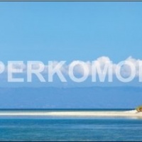 Фартук для кухни тропические острова