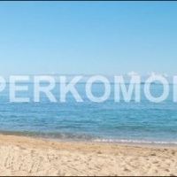 Фартук для кухни пальмы на пляже