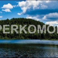 Фартук для кухни озеро лес