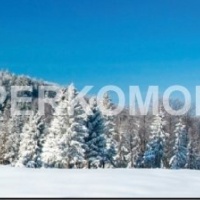 Стеклянный фартук зимний лес