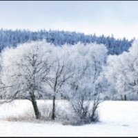 Скинали зима в горах