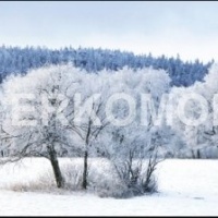 Скинали зима в горах