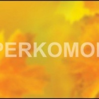 Фартук для кухни желтые листья