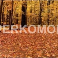 Кухонный фартук осень в лесу