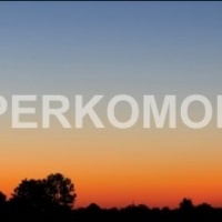 Фартук для кухни закат в лесу