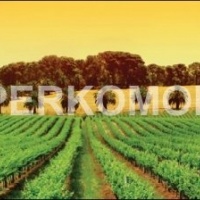 Фартук для кухни природа китай