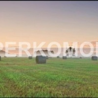 Фартук для кухни туман в поле