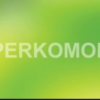 Скинали бабочки листья