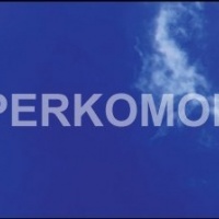 Кухонный фартук листья небо