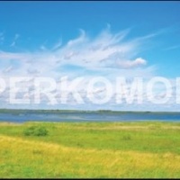 Фартук для кухни природа