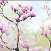 Фартук для кухни розовые цветы