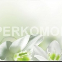 Фартук для кухни белые цветы