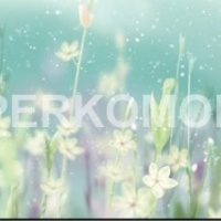 Фартук для кухни цветы на бирюзовом фоне