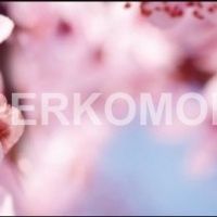 Фартук для кухни дерево с розовыми цветами