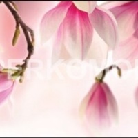 Кухонный фартук розово-белые цветы