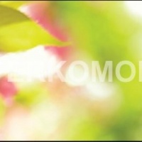 Фартук для кухни цветущая вишня