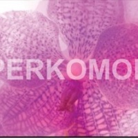 Кухонный фартук розовая орхидея