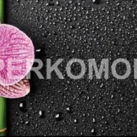 Кухонный фартук орхидея бамбук на черном фоне