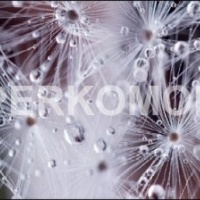 Кухонный фартук белые цветы с каплями