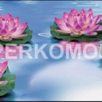 Фартук для кухни япония кувшинки на воде