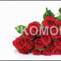 Фартук для кухни букет красных роз