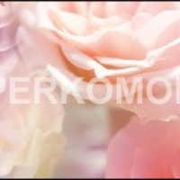 Фартук для кухни разноцветные розы