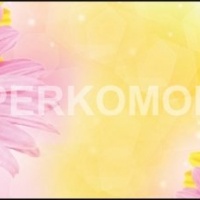 Фартук для кухни герберы