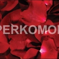 Фартук для кухни лепестки красных роз