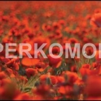 Фартук для кухни маковое поле