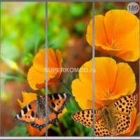 Фотопечать на шкаф купе пейзаж 189