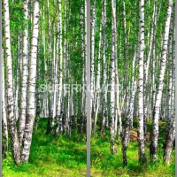 Фотопечать на шкаф купе пейзаж 195