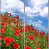 Фотопечать на шкаф купе пейзаж 197