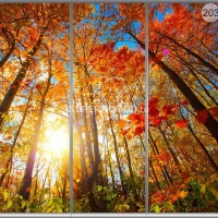 Фотопечать на шкаф купе пейзаж 203