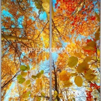 Фотопечать на шкаф купе пейзаж 204