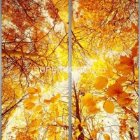 Фотопечать на шкаф купе пейзаж 207