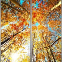 Фотопечать на шкаф купе пейзаж 208