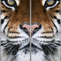 Фотопечать на шкаф купе животные 311