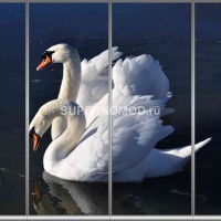 Фотопечать на шкаф купе животные 315