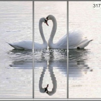 Фотопечать на шкаф купе животные 317