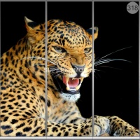 Фотопечать на шкаф купе животные 318