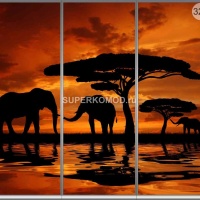 Фотопечать на шкаф купе животные 321