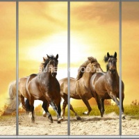 Фотопечать на шкаф купе животные 323