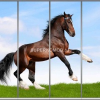 Фотопечать на шкаф купе животные 325