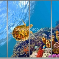 Фотопечать на шкаф купе морская 289