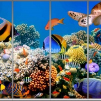 Фотопечать на шкаф купе морская 291