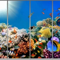 Фотопечать на шкаф купе морская 293