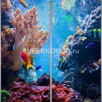 Фотопечать на шкаф купе морская 305