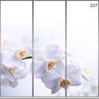 Фотопечать на шкаф купе цветы 337