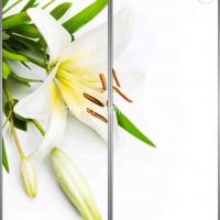 Фотопечать на шкаф купе цветы 345